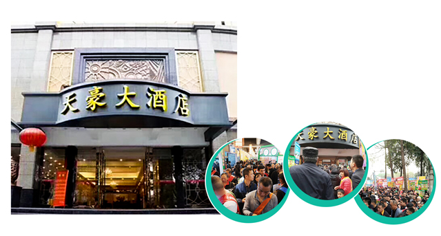 天豪2.jpg